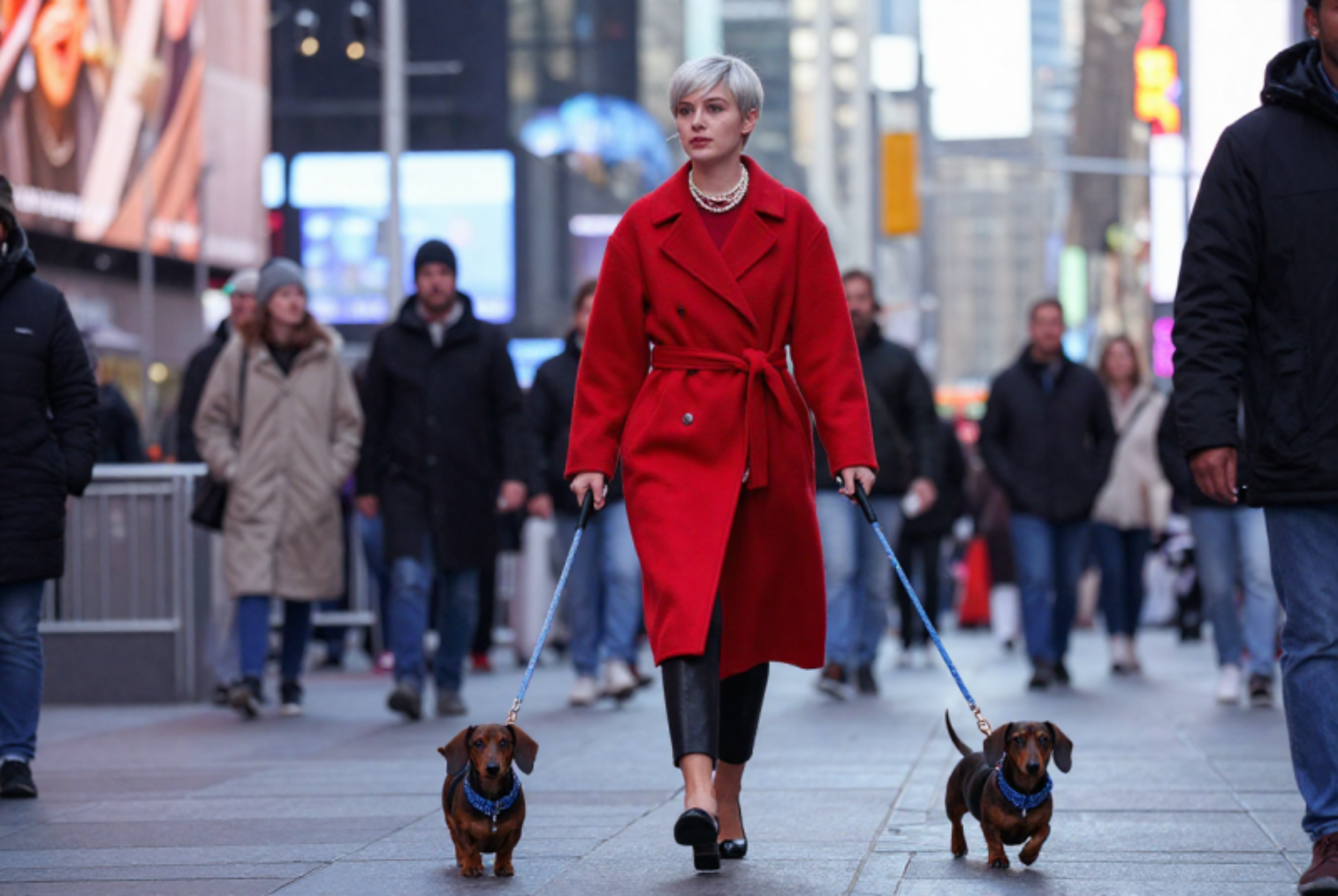 Pick It Up: What Every Dog Lover in New York City Needs to Hear by Christian Alexander