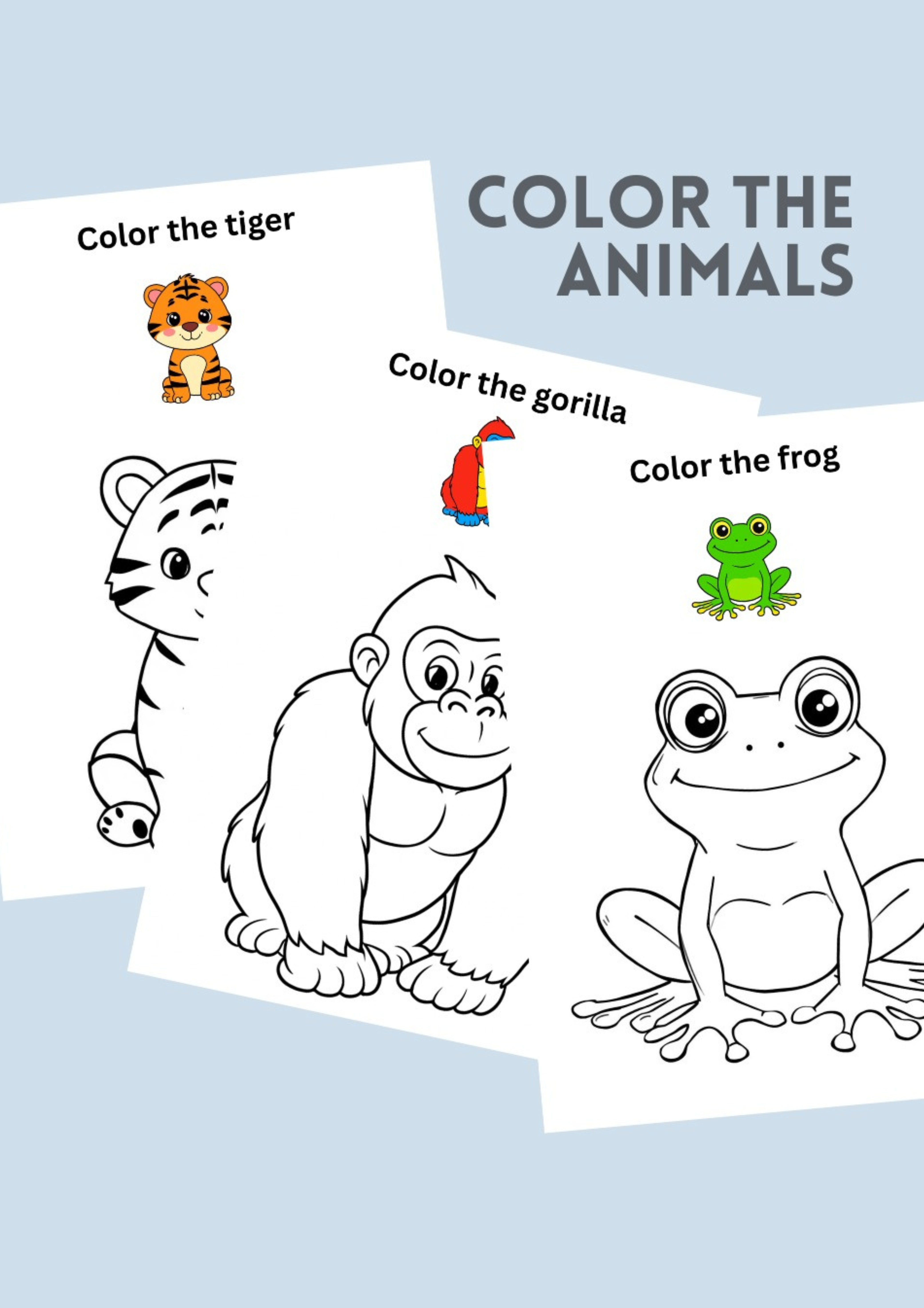 Animal Coloring Set 