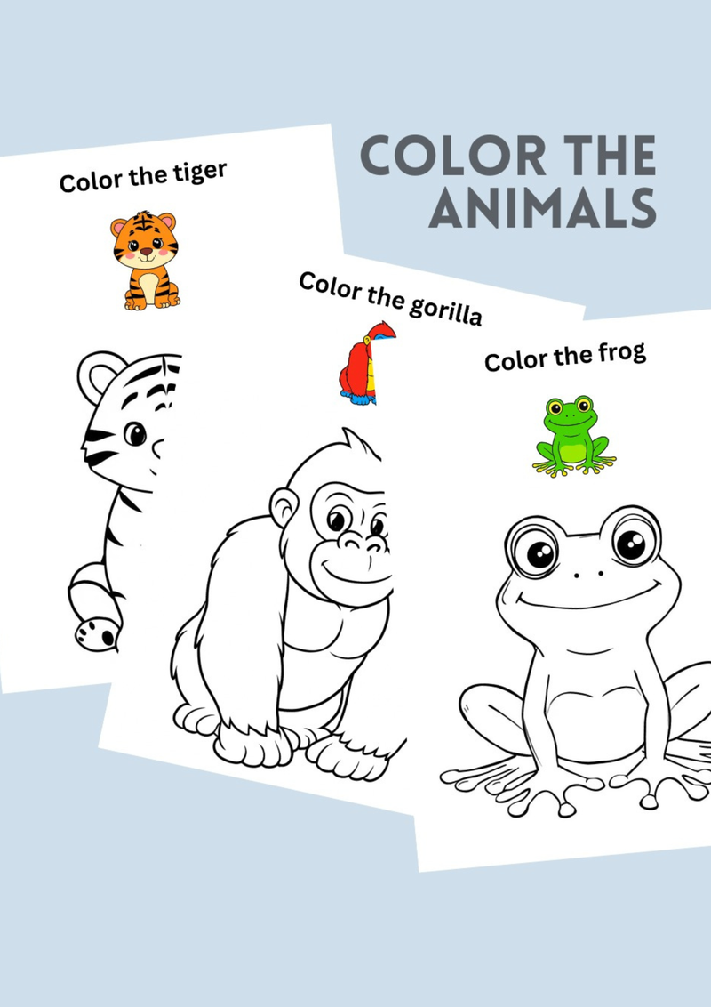 Animal Coloring Set