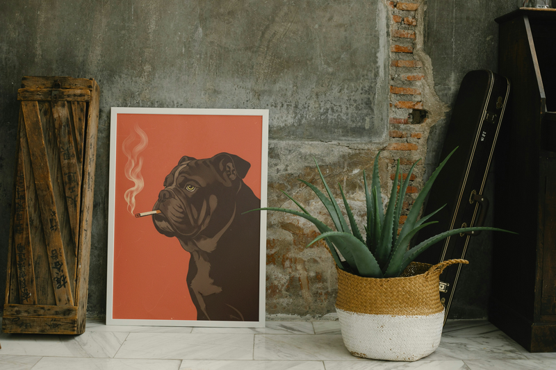Black Bulldog Smoking a Cigarette Vintage Poster Art. Digital download only